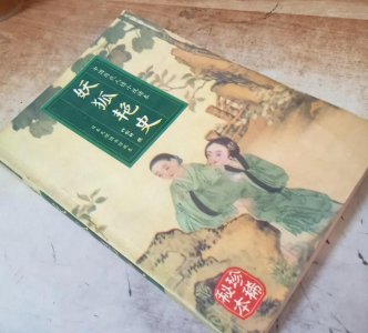 藏书:清代无名氏《妖狐艳史》古代禁毁小说