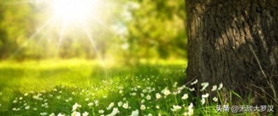 2月3号立春,那么你知道具体几点立春吗?