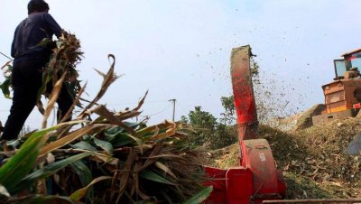 玉米秸秆别再浪费了,这么利用既环保又赚钱