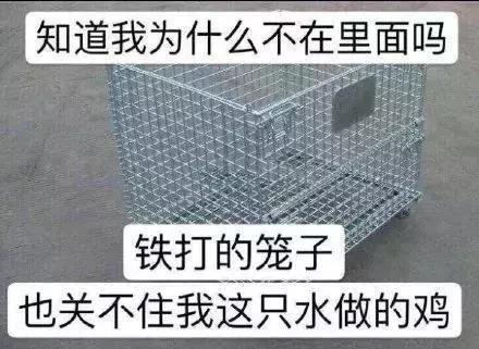 搞笑图片：谢谢你还一如既往的喜欢我的表情包