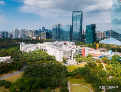 ​深大是211大学还是985大学（深圳大学是重点一本吗）