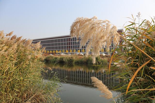 河北科技学院曹妃甸校区地图（深秋的河北科技学院曹妃甸校区美翻啦）(1)