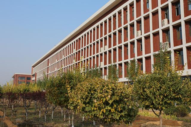 河北科技学院曹妃甸校区地图（深秋的河北科技学院曹妃甸校区美翻啦）(8)