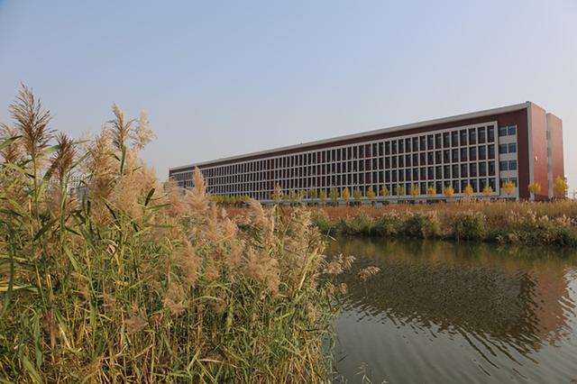 河北科技学院曹妃甸校区地图（深秋的河北科技学院曹妃甸校区美翻啦）(3)
