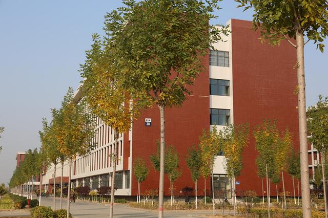 河北科技学院曹妃甸校区地图（深秋的河北科技学院曹妃甸校区美翻啦）(12)