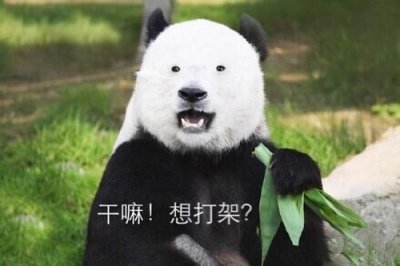 ​《三生三世》折颜与墨渊、东华齐名，为何墨渊与擎苍大战他不帮忙