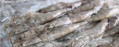 冻虾多久就不能吃了 冻虾时间长了能吃吗