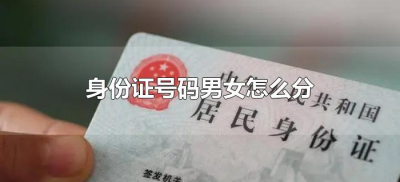 身份证号码男女怎么分(身份证号码男的女的怎么分)