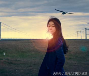 大江东去是什么生肖()