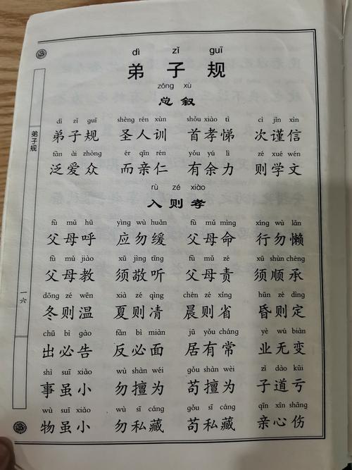 弟子规圣人训什么意思（弟子规圣人训解释）