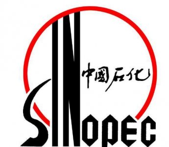 石化是什么意思(石化解释)