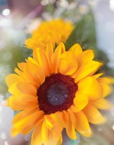 ​在对待父母的态度上我们应有的想法是(在对待父母的态度上,我们应有的想法是)