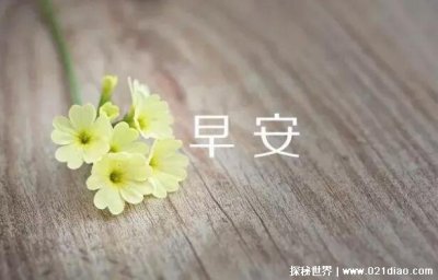 ​早安幽默短句 励志早安问候文案