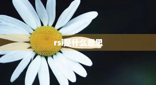 rsi是什么意思 rsi是什么意思