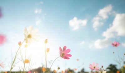 ​快餐顶流黄焖鸡为啥没人吃了？黄焖鸡不受欢迎了吗？