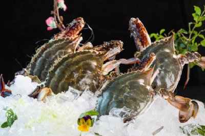 ​梭子蟹选大的还是小的 梭子蟹选多大的好