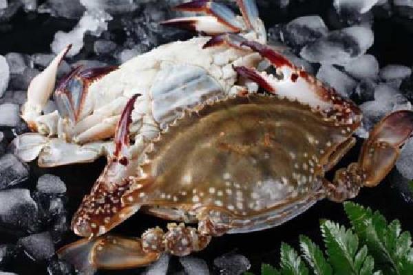 梭子蟹选大的还是小的 梭子蟹选多大的好 梭子蟹选大的还是小的 梭子蟹选多大的好