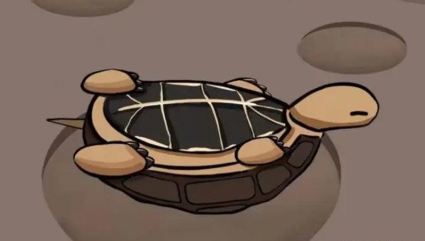 网络图片(侵删)