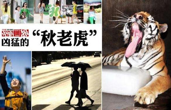 秋老虎有多热？秋老虎一般是怎么算的？