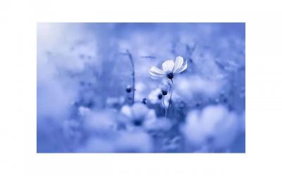 ​摩羯男被什么样的女生吃定，摩羯男最忍不了哪种撩