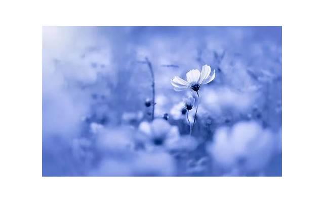 摩羯男被什么样的女生吃定，摩羯男最忍不了哪种撩