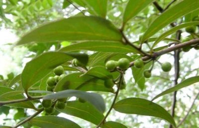 ​重庆市万州区万安社区 万州万安居委会电话