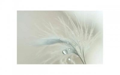 ​如果一个女生喜欢你会有什么表现？这三个欲望很强烈