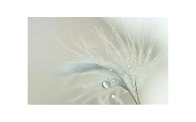 如果一个女生喜欢你会有什么表现?这三个欲望很强烈 如果一个女生喜欢你会有什么表现?这三个欲望很强烈