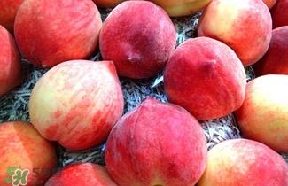 水蜜桃的产地在哪里？水蜜桃热量高吗？