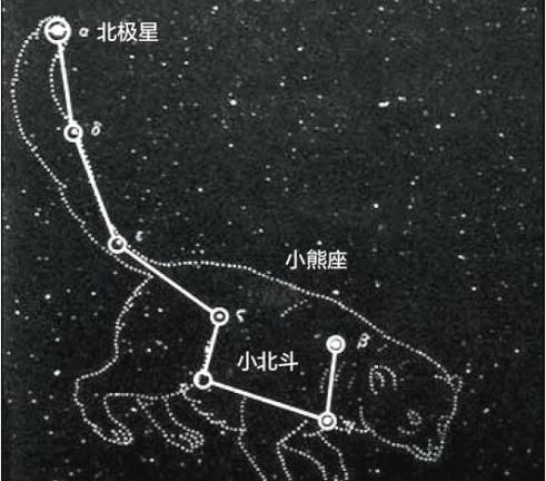 什么是大熊星座的主要标志