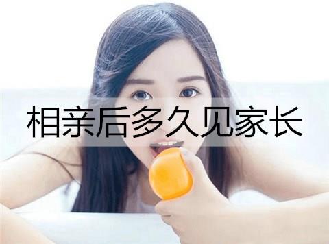 相亲后多久见家长3