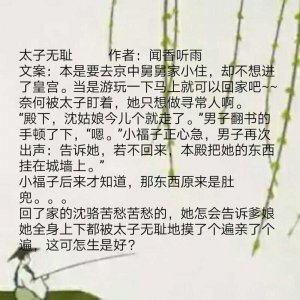 ​肉肉多的言情小说甜宠文古言完结你好(有肉有剧情的古言：沈小娘子进皇宫游玩，