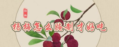 ​杨梅怎么腌制才好吃又简单 腌杨梅怎么做好吃