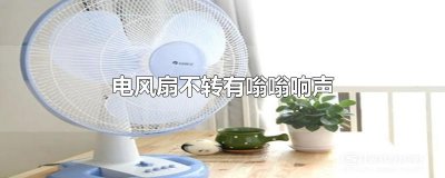 ​电风扇不转有嗡嗡响声