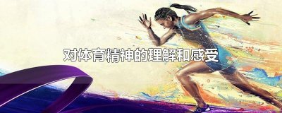 ​对体育精神的理解和感受