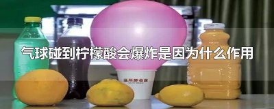 ​气球碰到柠檬酸会爆炸的原理是什么 气球碰到柠檬酸会爆炸是因为起到什么作用