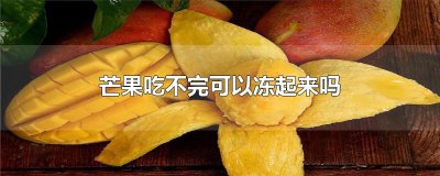 ​芒果吃不完可以冻起来吗