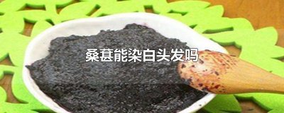 ​桑葚能染白头发吗