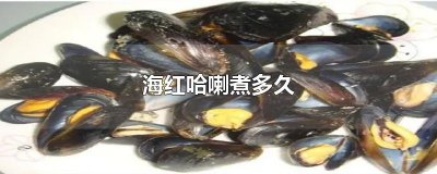 ​海红哈喇煮多久