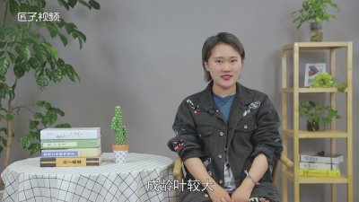 ​黑玫瑰花的花语是什么? 黑玫瑰花语及寓意