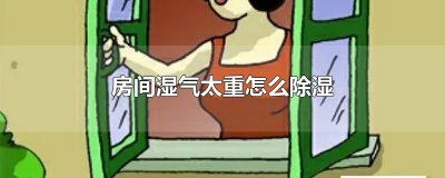 ​房间湿气太重怎么除湿