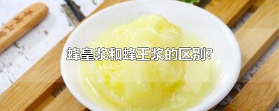 ​蜂皇浆和蜂王浆的区别?