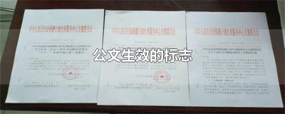 ​公文生效的标志