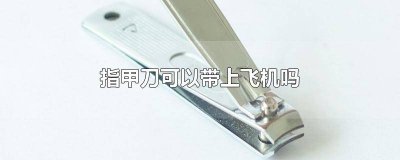 ​钥匙和指甲刀可以带上飞机吗 一套指甲刀可以带上飞机吗