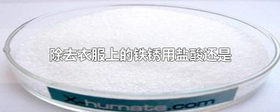 ​除去衣服上的铁锈用盐酸还是草酸