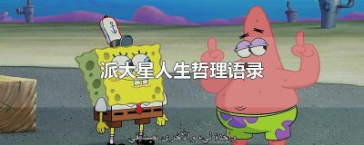 ​派大星人生哲理语录