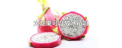​红心火龙果能放冰箱保鲜吗 红心火龙果放在冰箱