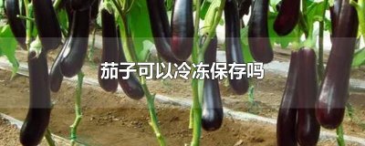 ​茄子可以冷冻保存吗
