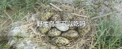 ​野生鸟蛋可以吃吗