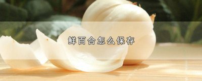 ​新鲜百合如何保存时间长 新鲜的百合怎么保存时间长